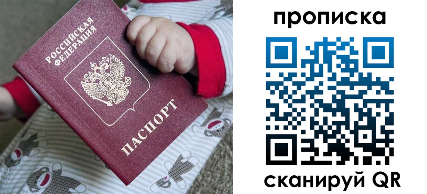прописка 2025 в Щёкино