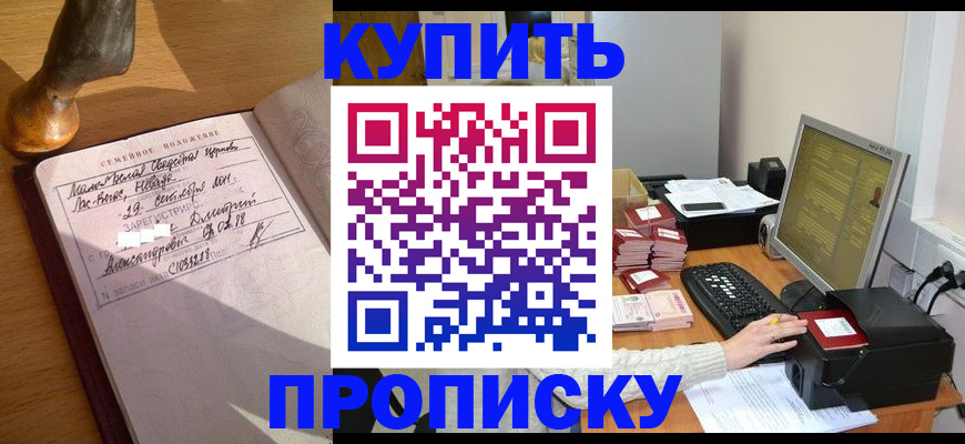 прописка 2025 в Щёкино